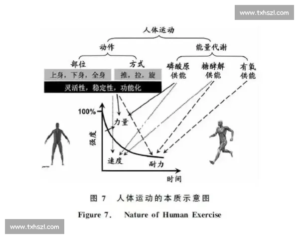优化体育训练方案提升运动表现与身体素质的科学研究