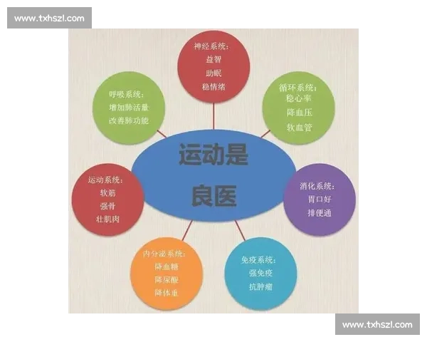 体育运动康复全方位指导与功能性训练提升方案研究
