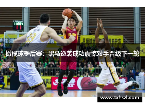 橄榄球季后赛：黑马逆袭成功震惊对手晋级下一轮