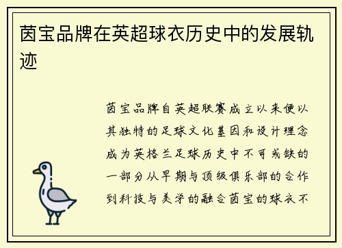 茵宝品牌在英超球衣历史中的发展轨迹