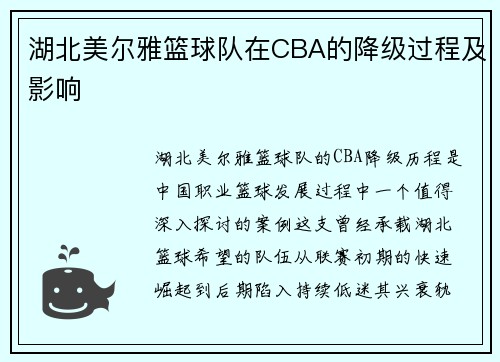 湖北美尔雅篮球队在CBA的降级过程及影响