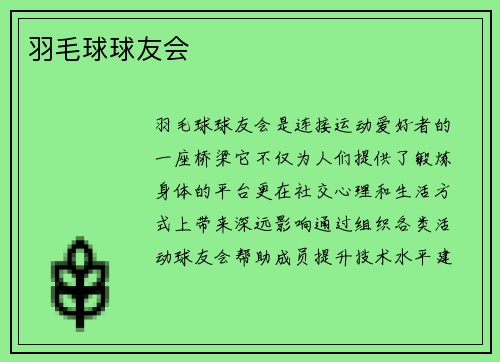 羽毛球球友会